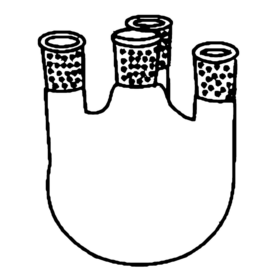 Flask Round Bottom 4 Neck With Interchange Able Joitn Side Neck Angle Or Parallel - 3.3 low-expansion laboratory glassware, BioTek Brew